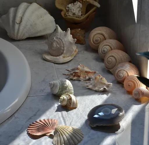 فيلة فيلا سانتا مافرا *